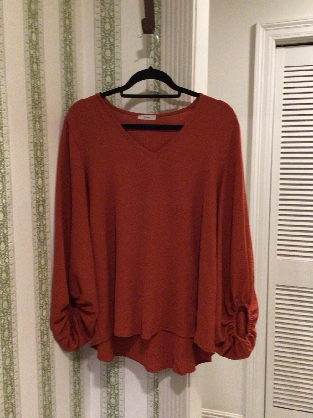 JODIFL | Tops | Jodifl Rust Orange Vneck Balloon Sleeve Blouse | Poshmark